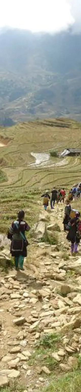 Durch die grünen Reisterassen wandern